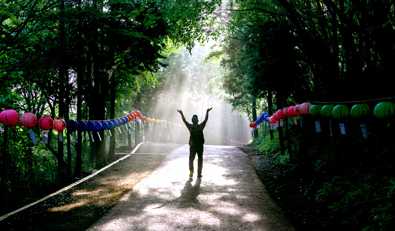 KTX 남해 여수 1박2일 기차여행 코레일 국내 패키지 보리암 오동도 순천만 케이블카 이미지 2