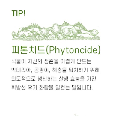 원목 나무 ㄷ자선반 식탁위선반 간이 셋탑박스 공유기 와이파이 받침대 - 상세 이미지 4