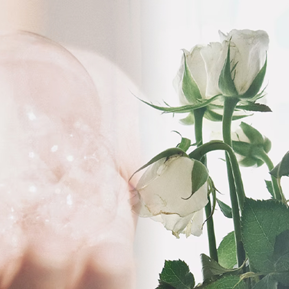 라이플라 블렌딩 디퓨저 리필 엘레강스 100ml - 상세 이미지 2
