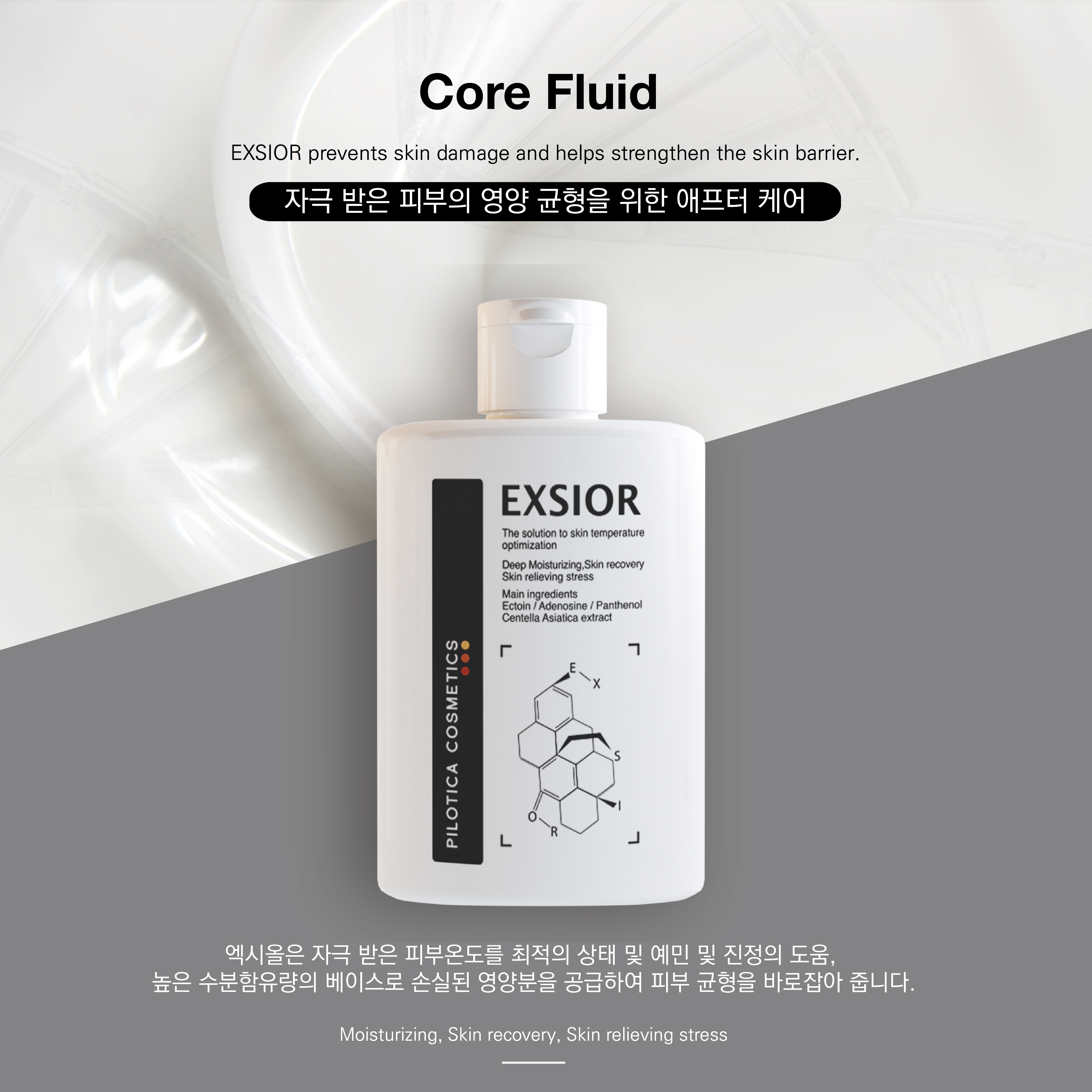 필로티카 엑시올 80ml - 메인 이미지