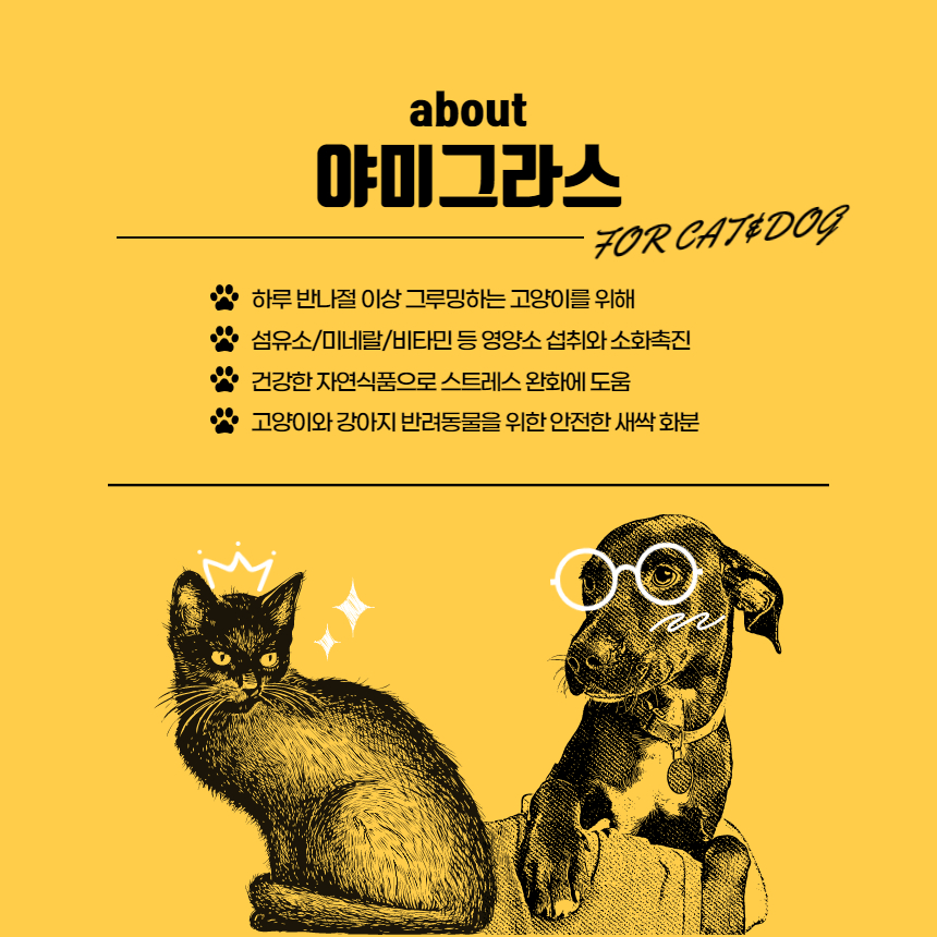 냥냥아지야미그라스재배기 캣그라스화분캣그라스재배기고양이풀 상세 이미지 3