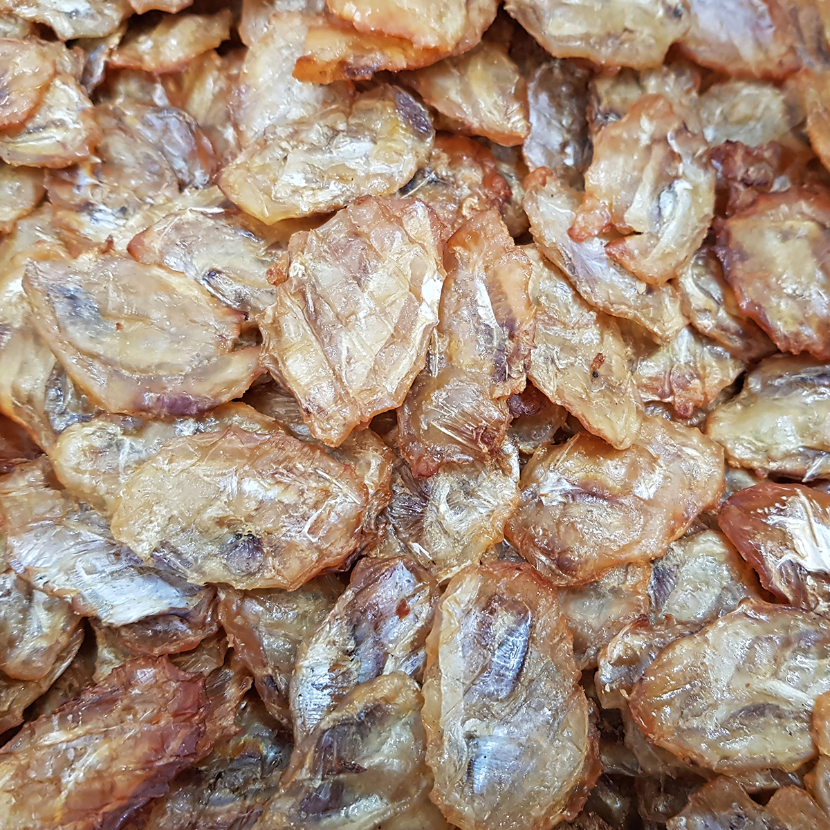 건어물 도매몰 맛있게 구운 동전 쥐포 300g, 1개 - 상세 이미지 3