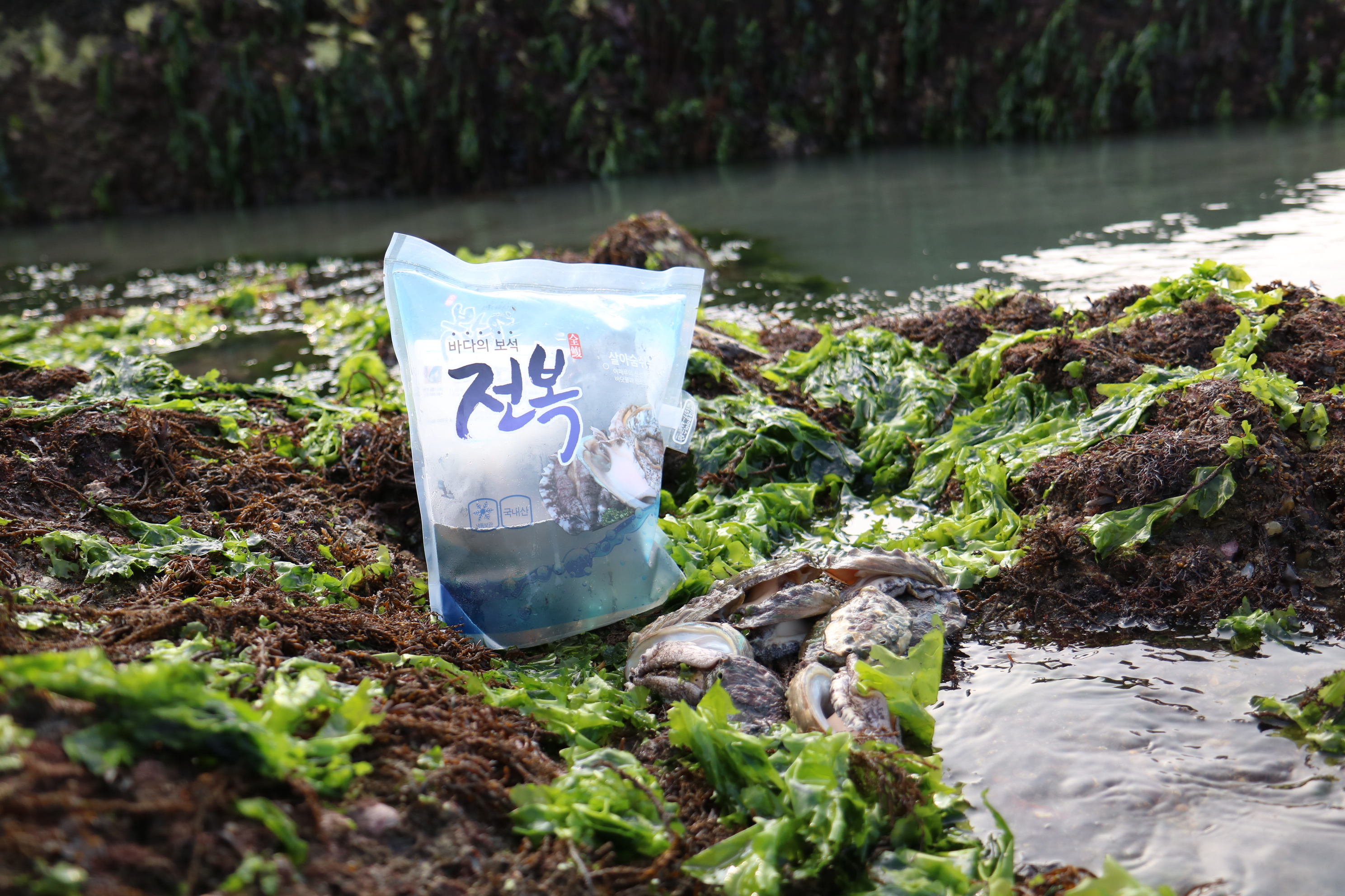 완도 활 전복 1kg 크기 6미부터40마리 특대전복 꼬마전복 선물세트 4남매털보아빠