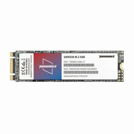 타무즈 GKM330 M.2 2280 (256GB) SSD