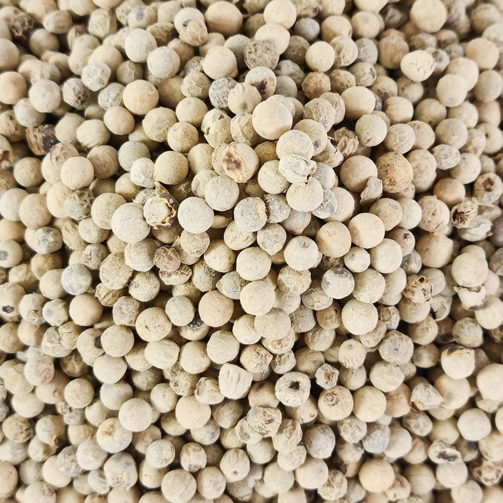 백후추 통후추 후추 화이트페퍼 500g, 1개 - 상세 이미지 4