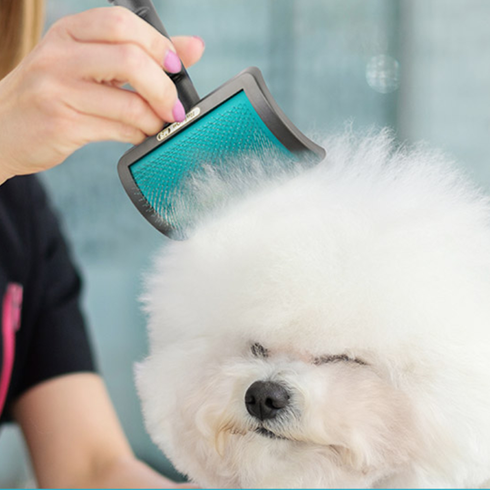바비온 강아지 고양이 털제거 커브 슬리커 브러쉬  비숑 빗