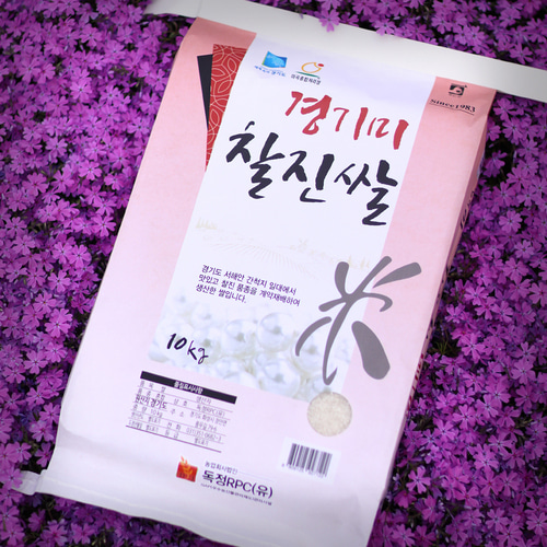 특판 백진주 10kg 찰진쌀 올해 햅쌀 10키로 : 햇쌀가게