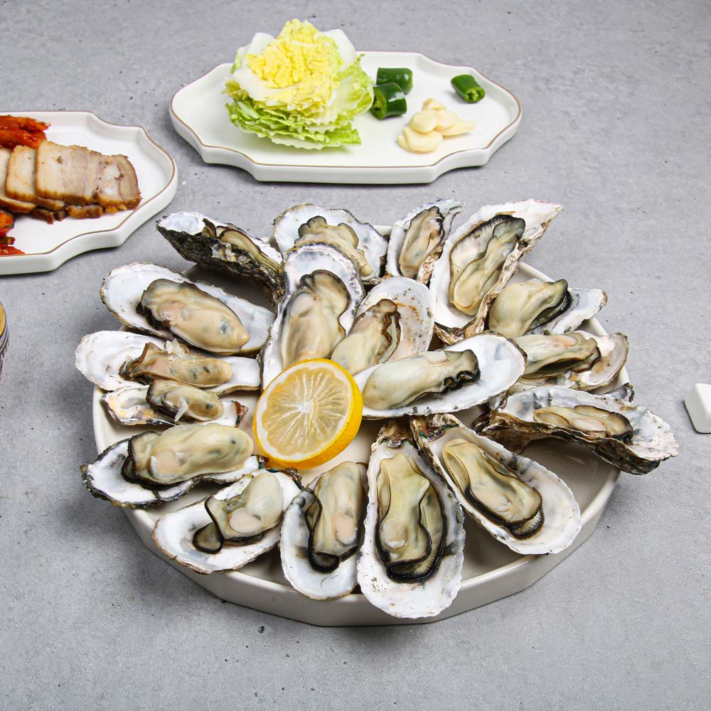 당일채취 통영 제철 석화 각굴 3kg 산지직송 - 상세 이미지 5