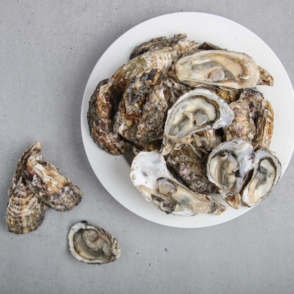 당일채취 통영 제철 석화 각굴 3kg 산지직송