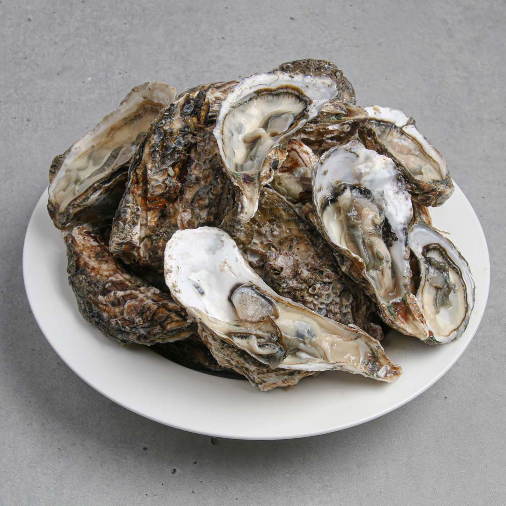 당일채취 통영 제철 석화 각굴 3kg 산지직송 - 상세 이미지 3