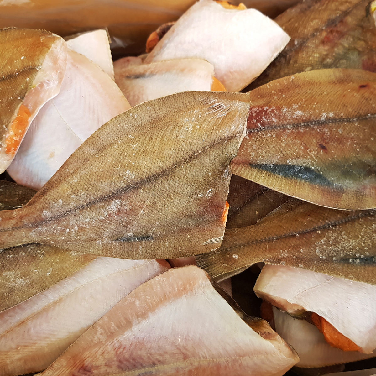 포항 반건조 생선 반건조가자미 1kg 말린생선 가재미 특대 - 상세 이미지 4
