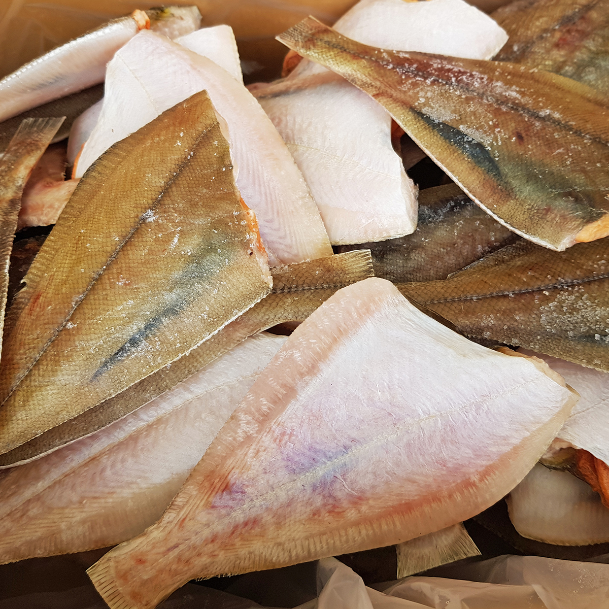 포항 반건조 생선 반건조가자미 1kg 말린생선 가재미 특대 - 상세 이미지 2