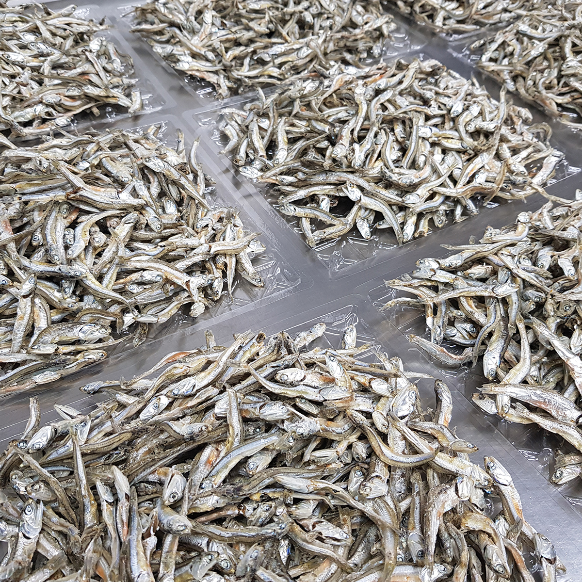 국내산 상급 중멸치 고주바 고바멸치 고추장 다시 국물 멸치 500g, 1개 - 상세 이미지 3