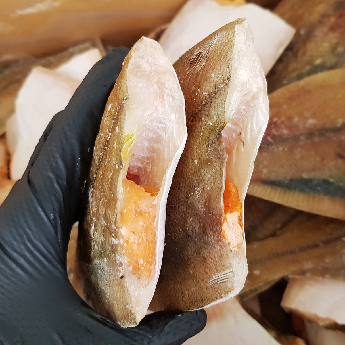 포항 반건조 생선 반건조가자미 1kg 말린생선 가재미 특대 - 상세 이미지 5
