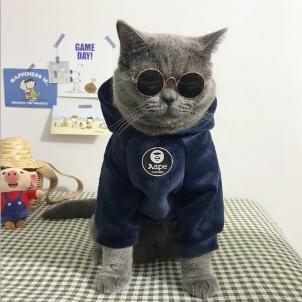 DDUNGK 애견 강아지 고양이 겨울 기모 벨벳 후드s 이미지 7