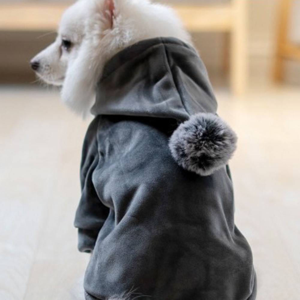 DDUNGK 애견 강아지 고양이 겨울 기모 벨벳 후드s 이미지 8