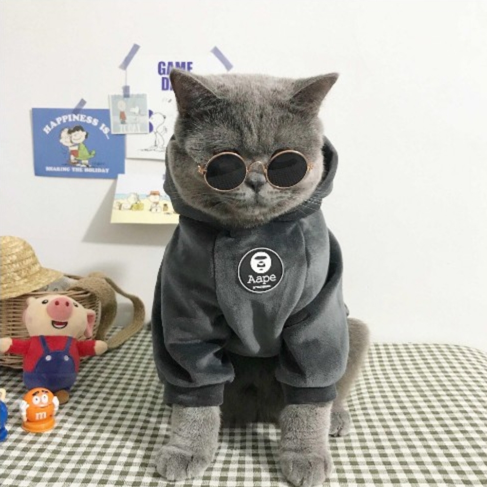 DDUNGK 애견 강아지 고양이 겨울 기모 벨벳 후드s 이미지 6