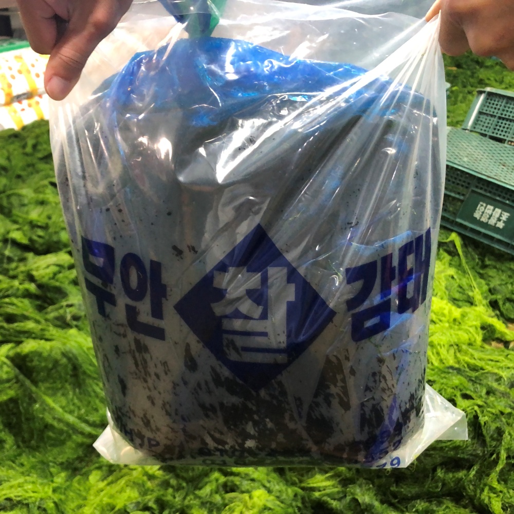 무안 감태 간편소포장 900g 생감태 찰감태 물감태 감태지 - 상세 이미지 4