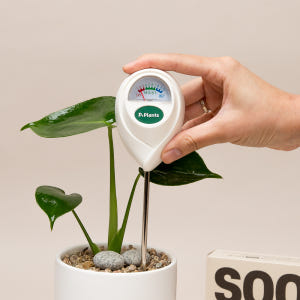 수테기 식물수분테스트기 토양 화분 수분측정기 실사용 후기 | 효과 있을까? - 상품 이미지 1