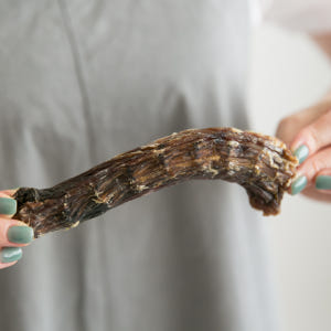 강아지 수제 간식 대형견 애견 뼈간식 오리목뼈 500g 솔직 후기 | 실제 사용자 리뷰 총정리 - 상품 이미지 2