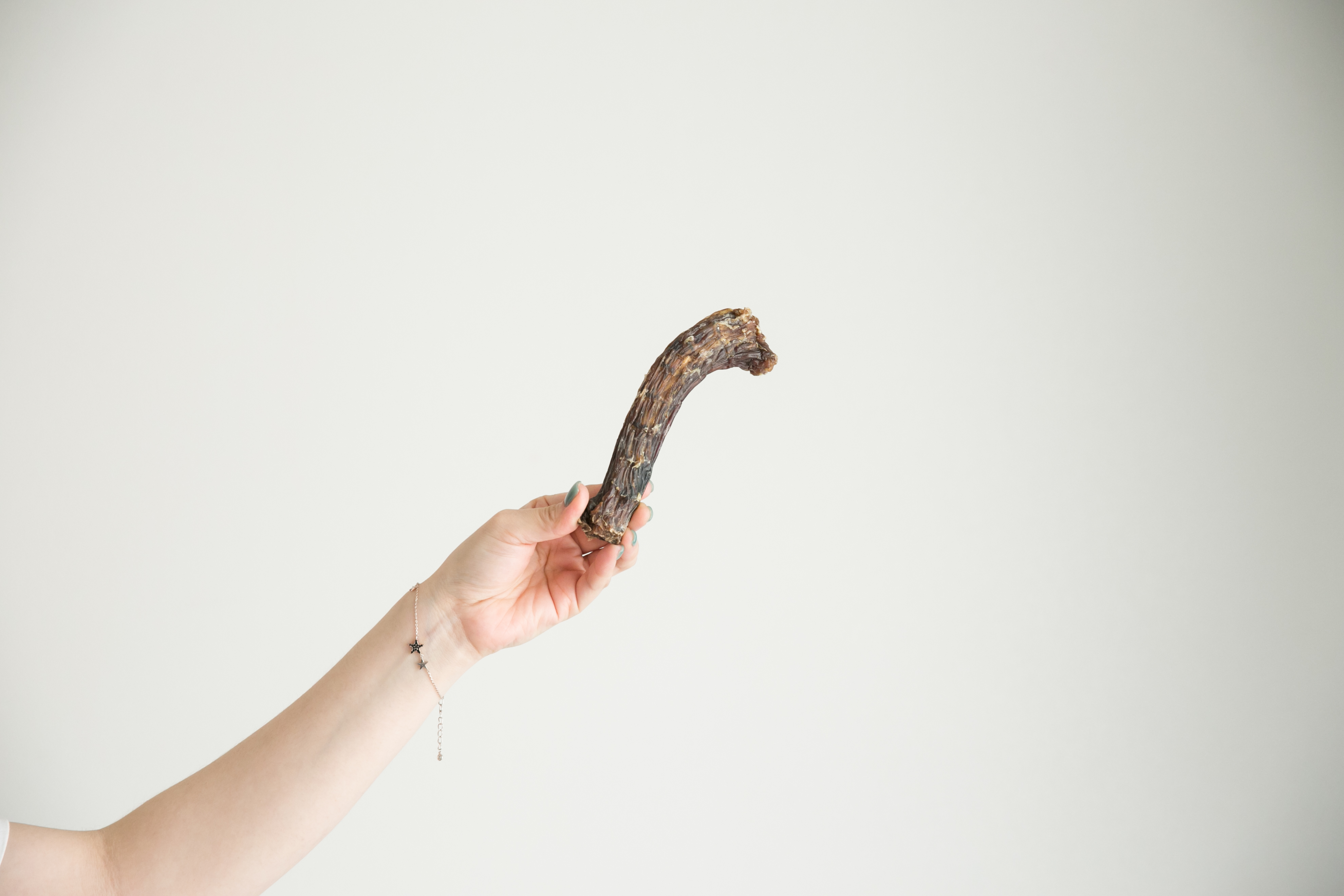 강아지 수제 간식 대형견 애견 뼈간식 오리목뼈 500g 이미지 3