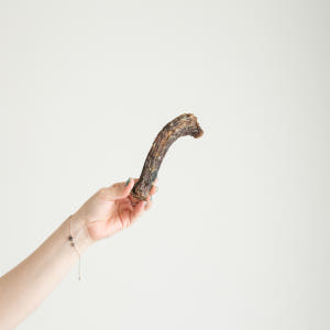 강아지 수제 간식 대형견 애견 뼈간식 오리목뼈 500g 솔직 후기 | 실제 사용자 리뷰 총정리 - 상품 이미지 3