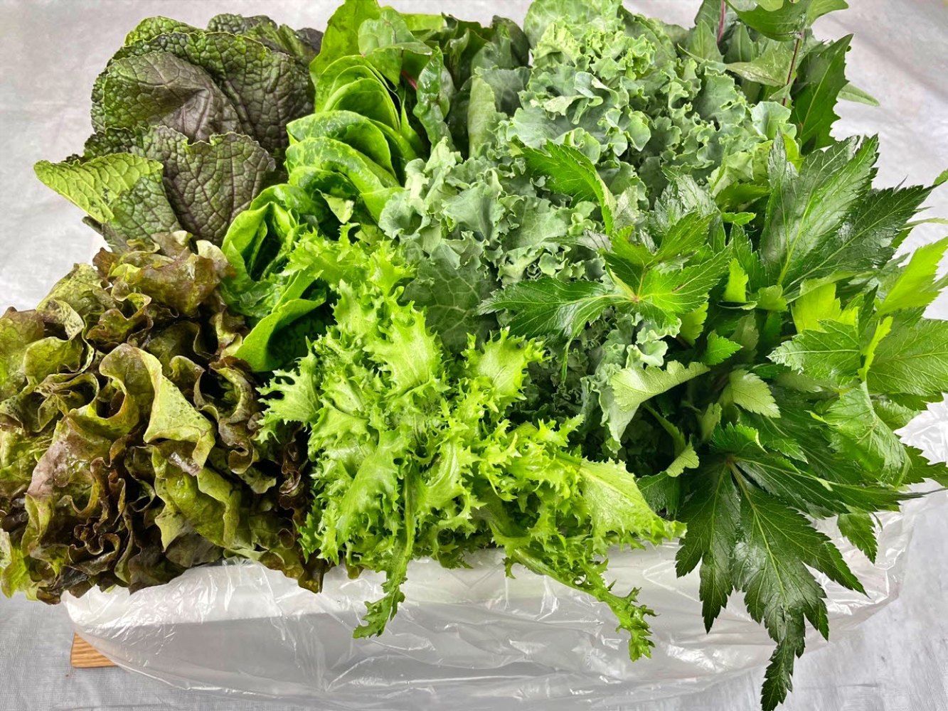 모둠 모듬 쌈채소 5종 600g 1kg 산지직송 이미지 6