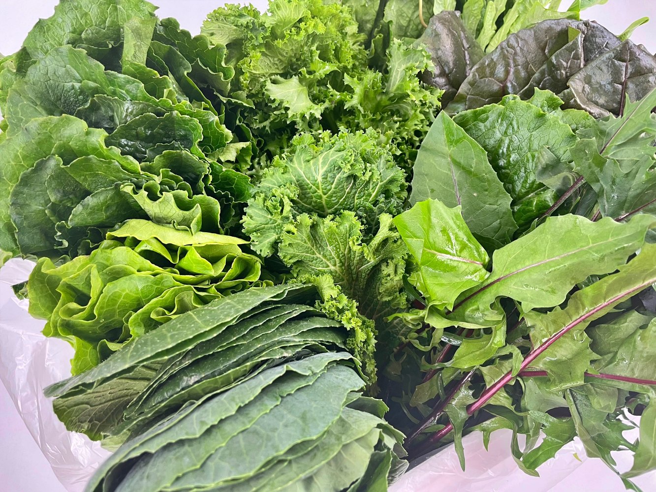 모둠 모듬 쌈채소 5종 600g 1kg 산지직송 - 상세 이미지 2