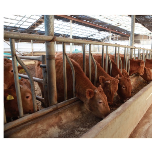 열 선풍기 히터 선풍기 난로 산업용 선풍기형 온열기