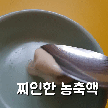 한우 사골 농축액 엑기스 설렁탕 육수 어린이 곰탕 50인분 500g - 상세 이미지 4
