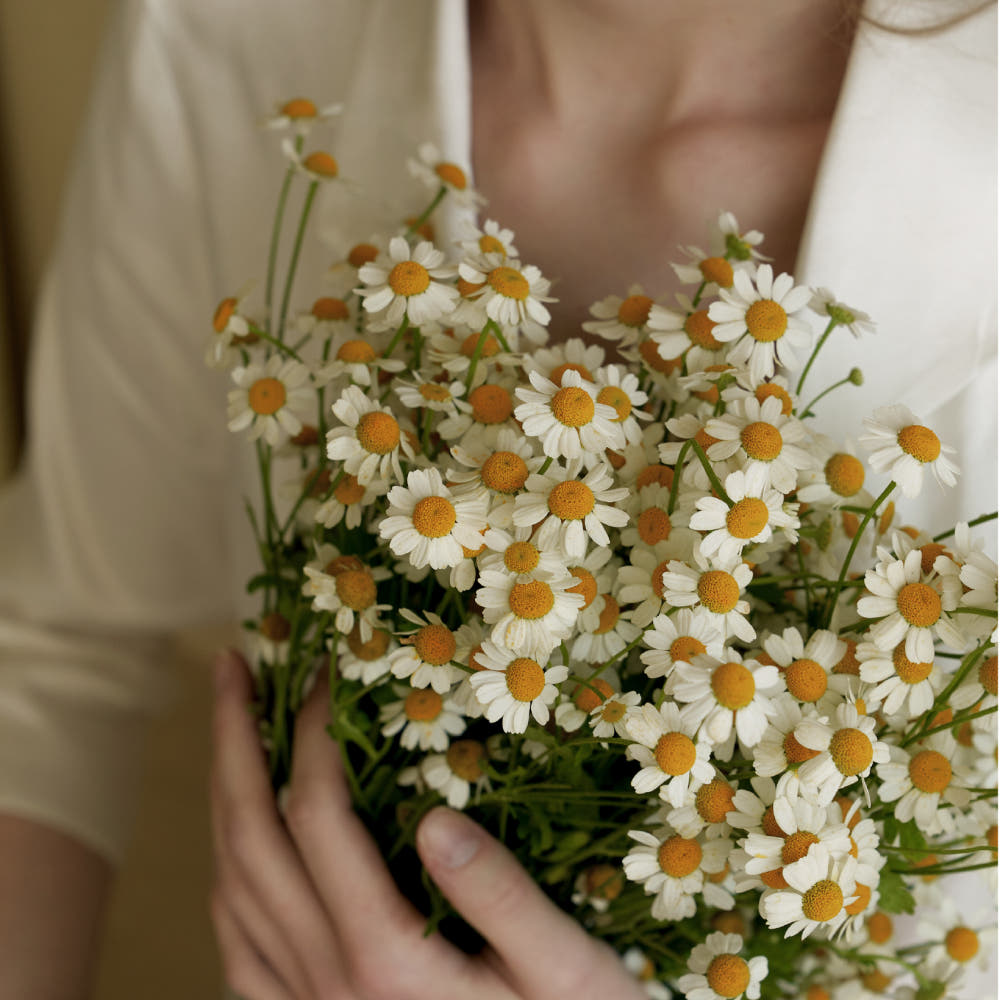 헤트라스 프리미엄 대용량 디퓨저 500mlx3개 선물세트 실내방향제 인테리어 호텔우드 : 헤트라스 4