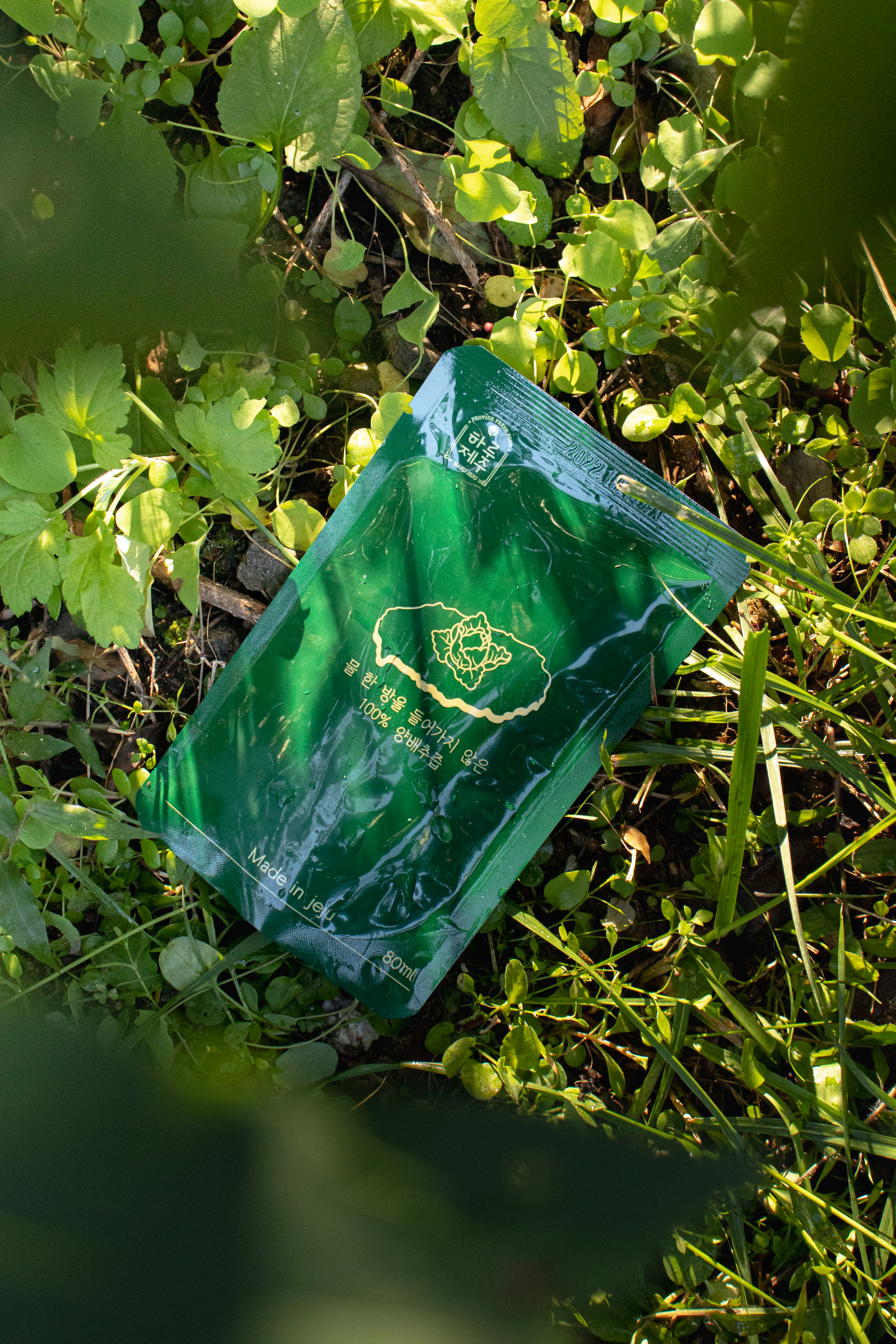 하루제주 고깔 양배추즙 NFC 저온착즙 100% 액기스 진액 주스 80ml, 30개 이미지 4