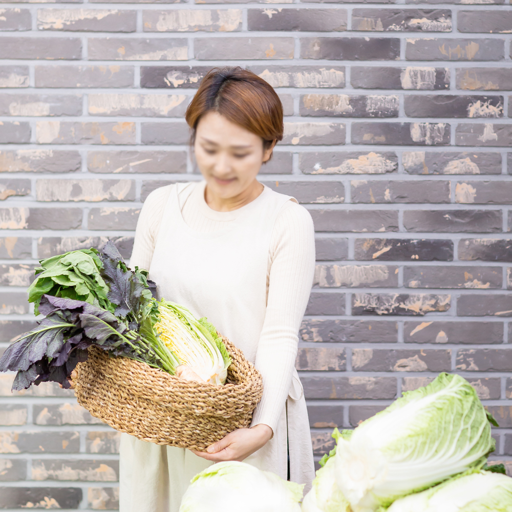 빛고을김치 파김치 1kg 당일생산 국산 전라도김치 별미 HACCP 깊고 진한 감칠맛 이어온 - 상세 이미지 2
