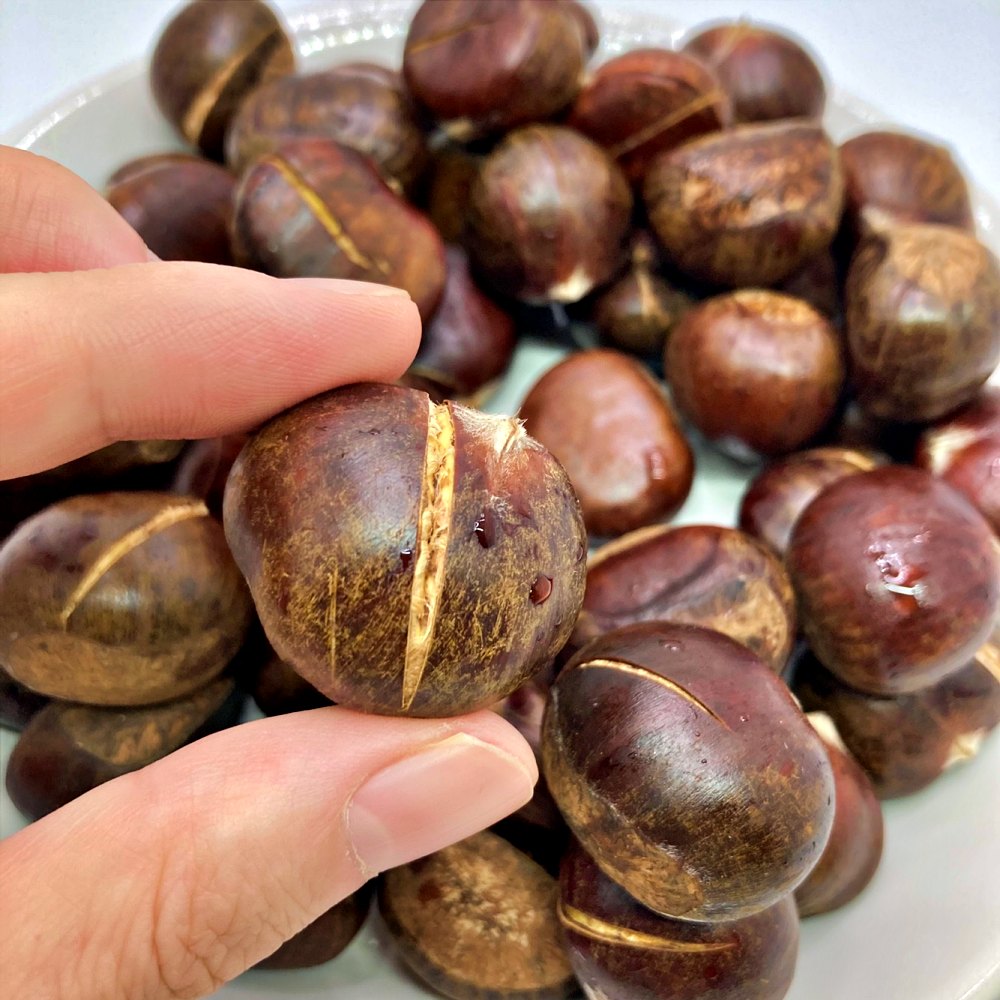 공주 부여 옥광 이평밤 햇밤 1kg 2kg 3kg 5kg 중 대 특 이미지 6