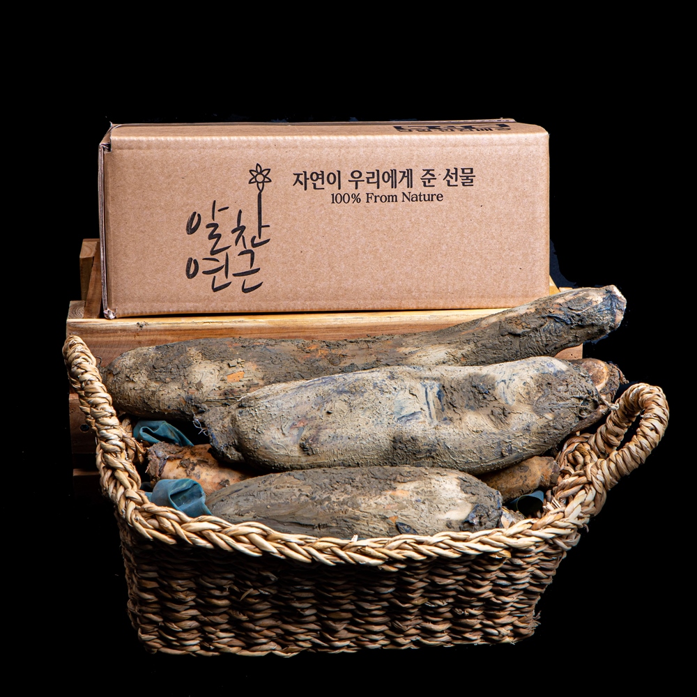 햇연근 무농약 슬라이스 말린연근 - 상세 이미지 2