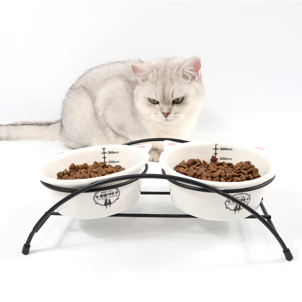 고양이 도자기 밥그릇 물그릇 살균소독 고양이식기