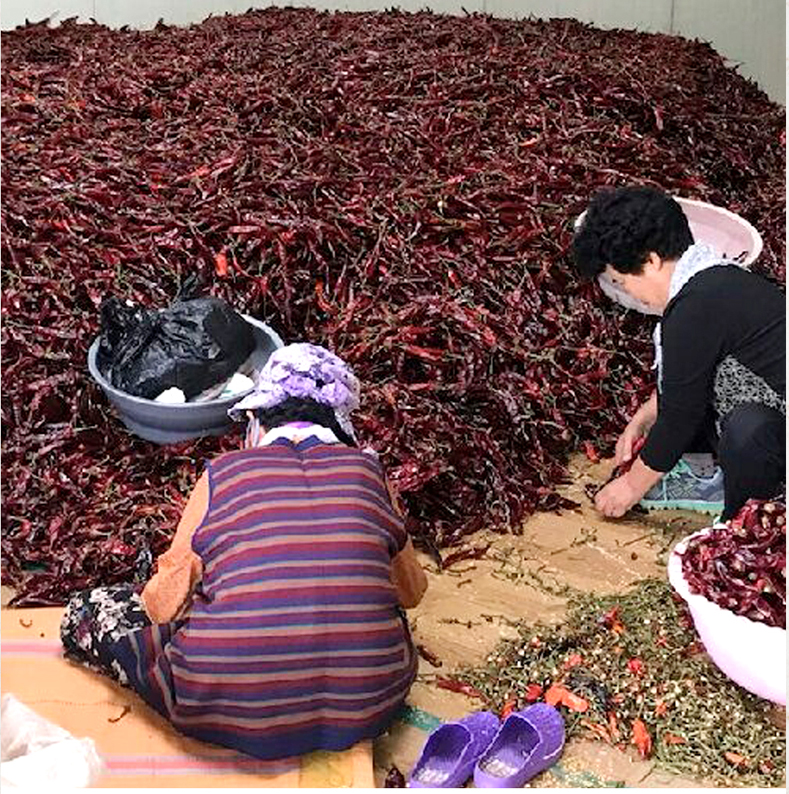 2025년 이삭방앗간 햇 반태양초 고춧가루 보통맛 250g, 500g