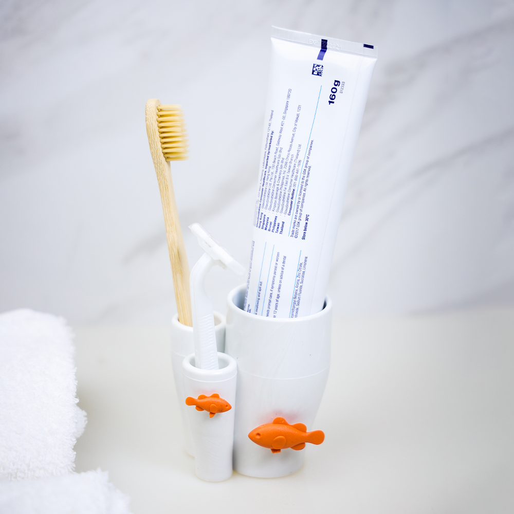 퀄리 코랄 칫솔꽂이