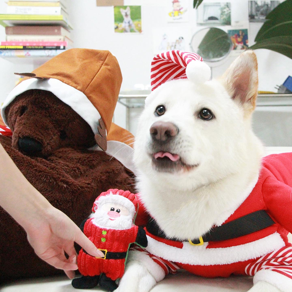 강아지산타옷 대형견 크리스마스 옷 망토 산타복 코스프레 할로윈