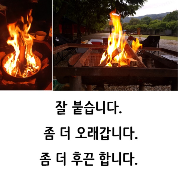 자작나무 캠핑용 장작 캠프 파이어 장작 벽난로 장작 - 상세 이미지 2