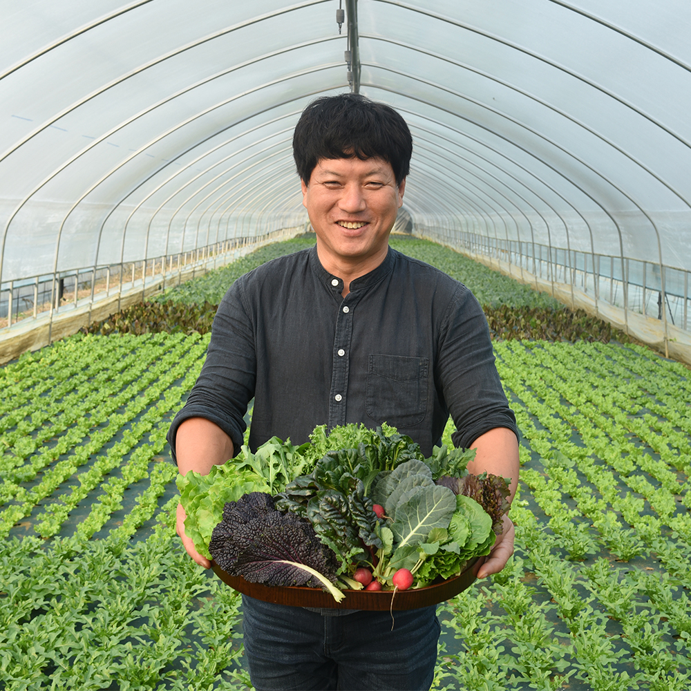 샐러드채소 쌈야채 1kg 로메인 케일 적근대 그린비타민 루꼴라 모듬쌈 산지직송 - 상세 이미지 2