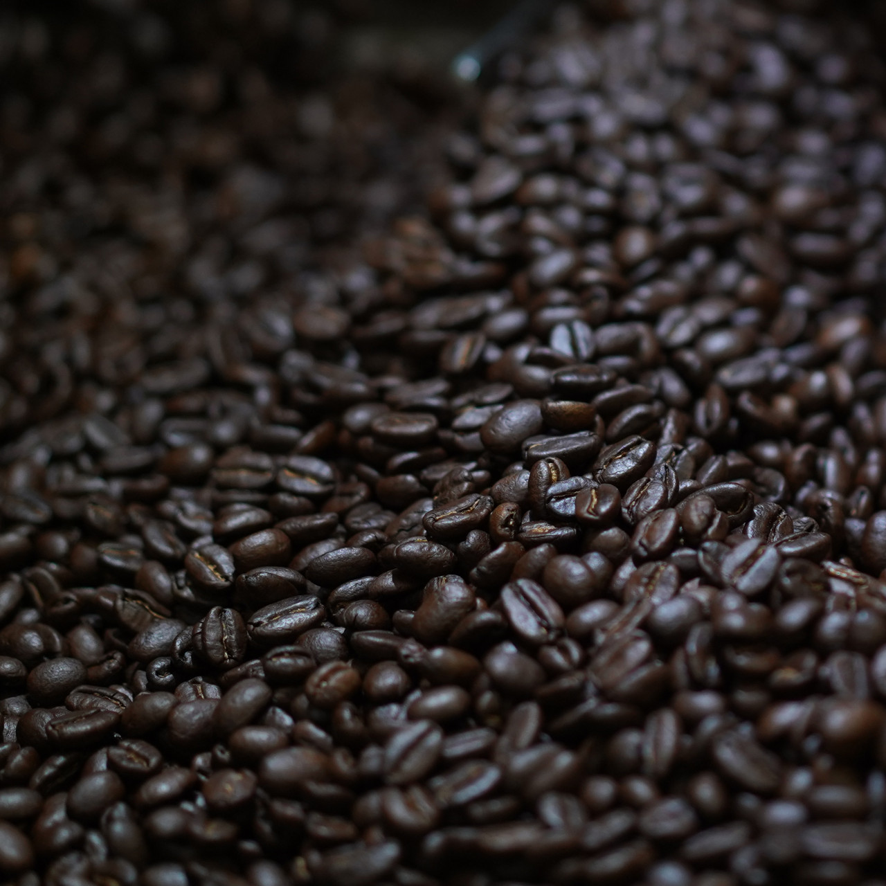 고소하고 진한 루비아 다크 브라운 홀빈, 1kg, 1개