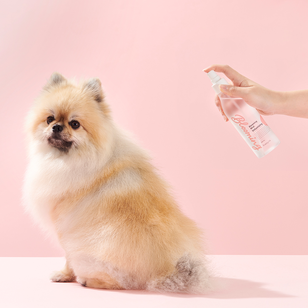 블루밍 강아지 볼륨 미스트 에센스 베이비 파우더향 200ml - 상세 이미지 3