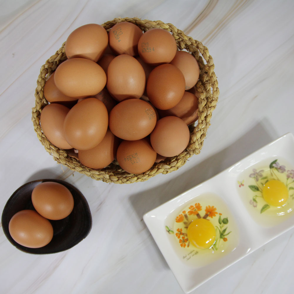 오늘 낳은 무항생제계란 60구 대란