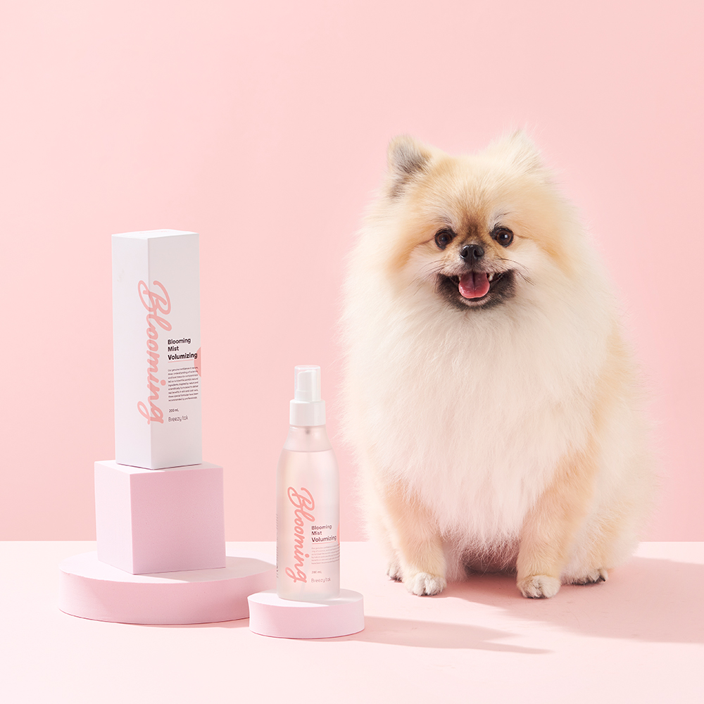 블루밍 강아지 볼륨 미스트 에센스 베이비 파우더향 200ml - 상세 이미지 2