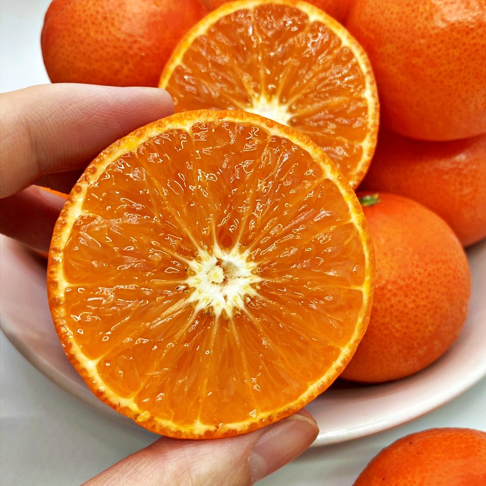 홍매향 홍미향 썬레드 홍귤 동백향 빨간 노지귤 3kg 5kg 제주 산지직송 - 상품 이미지