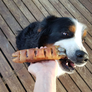 대형견간식 소뼈 강아지뼈간식 강아지 소뿔껌 M 특식 솔직 후기 | 실제 사용자 리뷰 총정리 - 상품 이미지 3