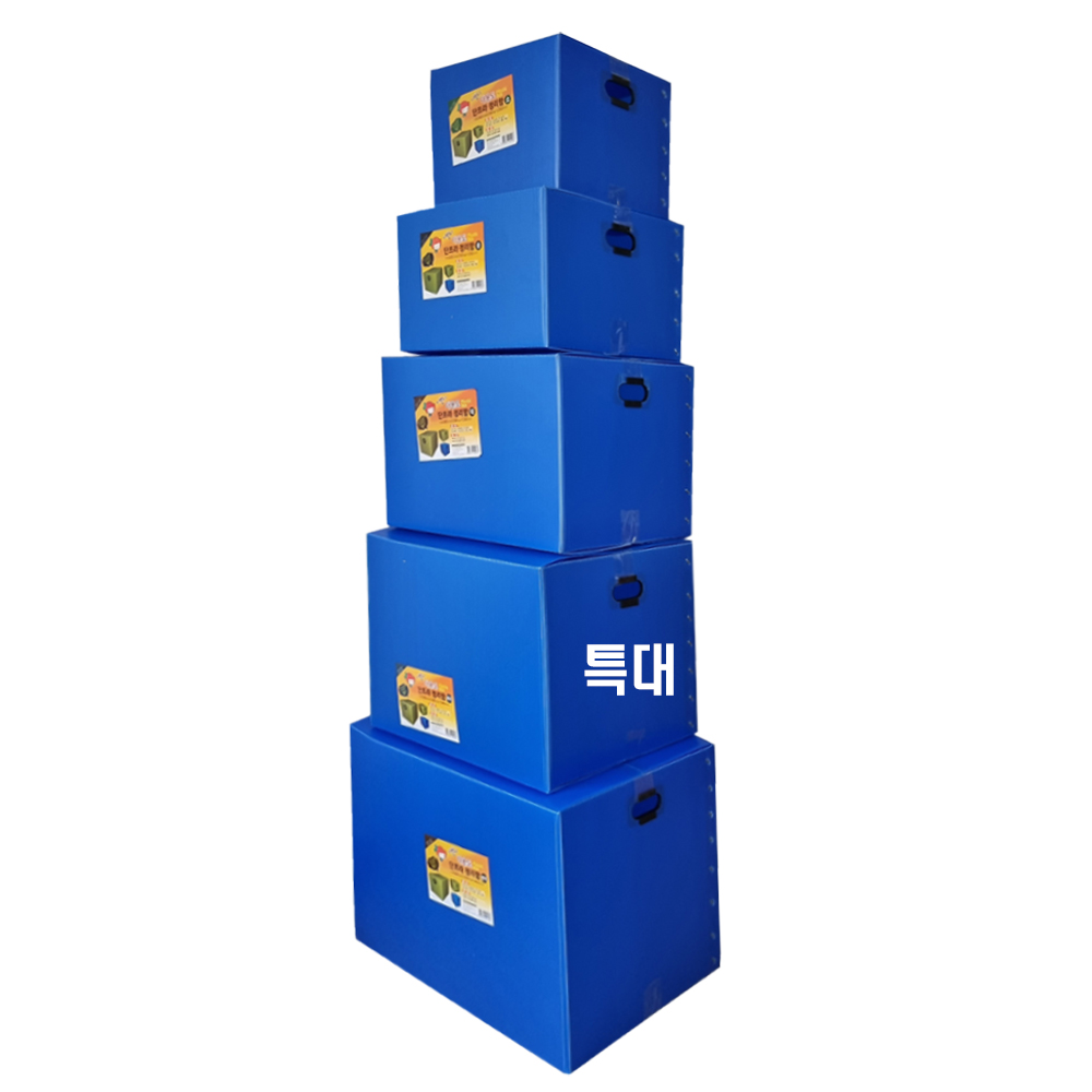 이쁜이 다용도 단프라 정리함 (특대) 이사짐 이사 박스 플라스틱 (0965)