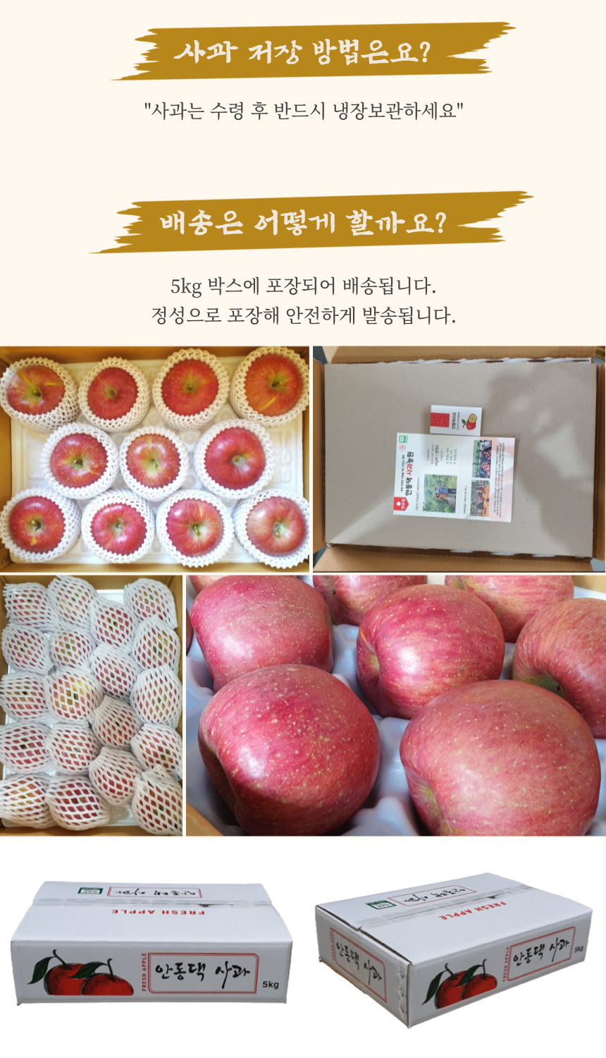 안동댁사과 표지