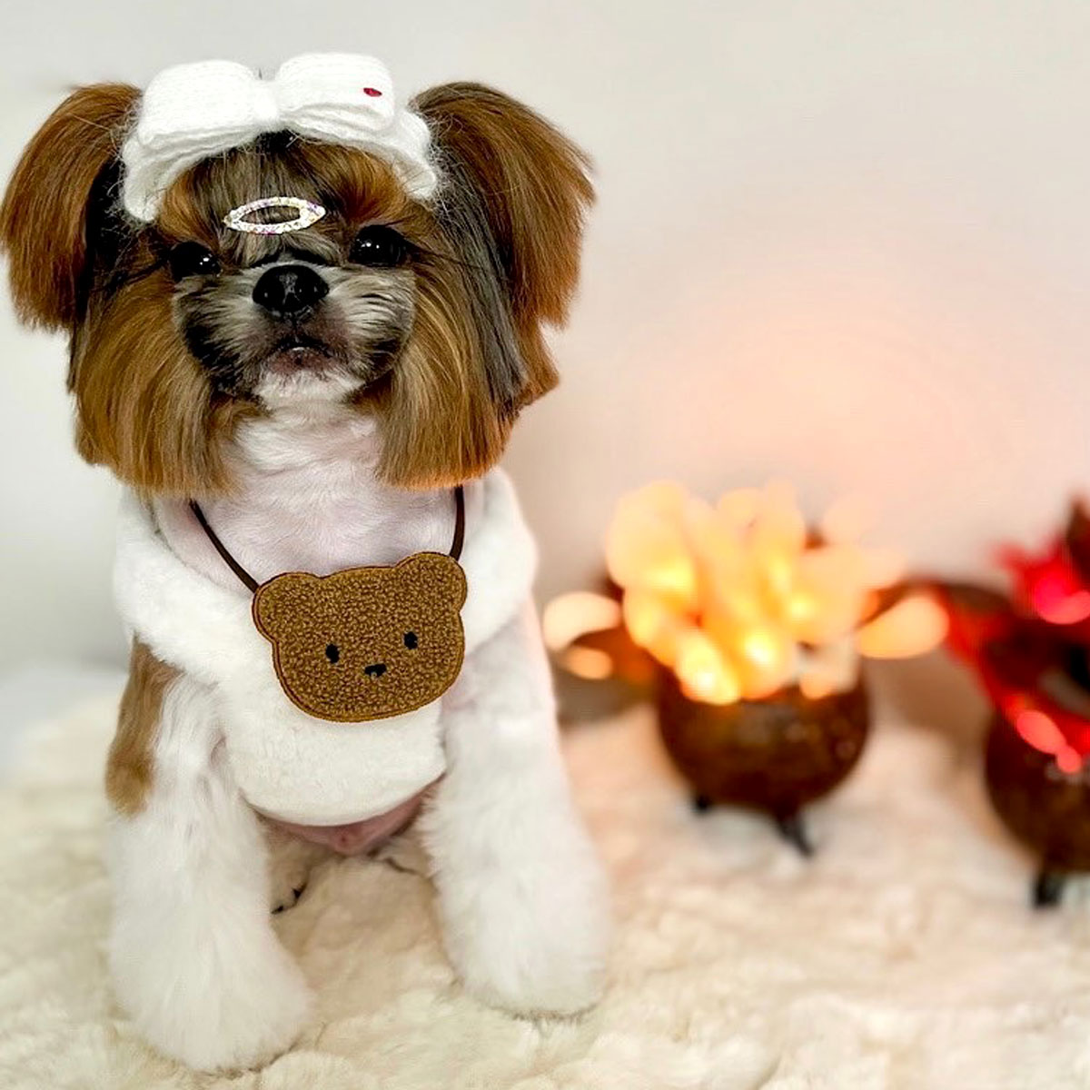 뽀글이 인식표 강아지 고양이 케이프 - 상세 이미지 5